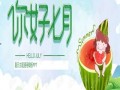 吃瓜ppt,吃瓜群众视角下的PPT盛宴解析