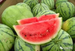 今日吃瓜地址,探寻幕后真相