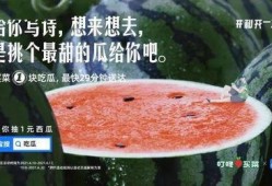 今日吃瓜文案,娱乐圈幕后故事一网打尽